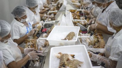 Exportação de pescados para UE: exigências sanitárias, OMDN, O Mundo dos Negócios