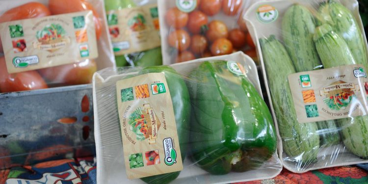 China é o pais que mais importa alimentos do Brasil, OMDN, O Mundo dos Negócios