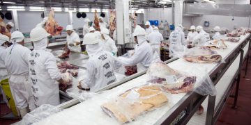 Exportações de carne bovina têm alta de 9,84% em janeiro, OMDN, O Mundo dos Negócios