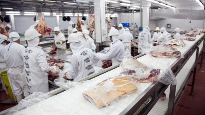 Exportações de carne bovina têm alta de 9,84% em janeiro, OMDN, O Mundo dos Negócios