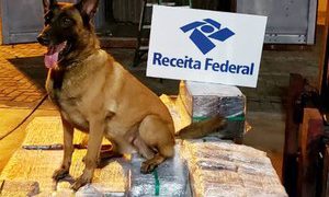 Receita apreende cocaína em navio no Porto do Rio, OMDN, O Mundo dos Negócios