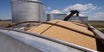 China cortará US $ 75 bilhões em tarifas de importação dos EUA, OMDN, O Mundo dos Negócios