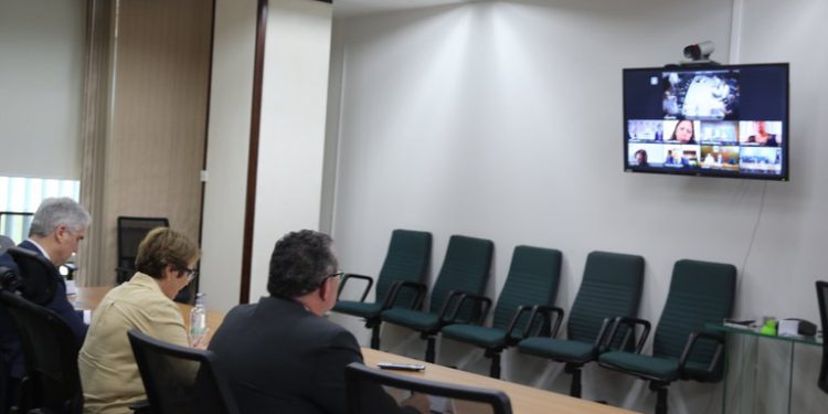 América do Sul normas garantem transporte de alimentos durante pandemia_OMDN_O Mundo dos Negócios_Mapa