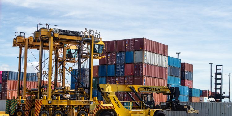 O que são zonas primárias e secundárias_OMDN_O Mundo dos Negócios_Squirrel_Pixabay