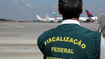 Vigiagro sistema desburocratiza importação de produtos vegetais_OMDN_O Mundo dos Negócios