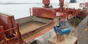 Consulta Pública importação de cargas transportadas a granel_OMDN_O Mundo dos Negócios_Arquivo Portos do Paraná