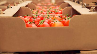 Mapa Análise de Risco de Pragas importação de vegetais_OMDN_O Mundo dos Negócios_azerbaijan_stockers Freepik