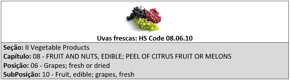 Qual é a relação entre NCM e HS Code_OMDN_O Mundo dos Negócios_uvas frescas