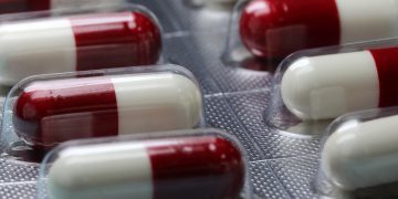 Anvisa atualiza lista para autorização de exportação_OMDN_O Mundo dos Negócios_HeungSoon Pixabay