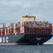 Capacidade média dos navios cresce entre 2% e 5% no mundo_MSC Gulsun_Kees Torn Porto de Roterdã
