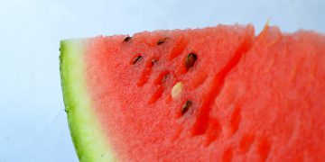 O que está por trás do canal melancia_OMDN_O Mundo dos Negócios_PDPics por Pixabay