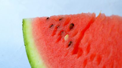 O que está por trás do canal melancia_OMDN_O Mundo dos Negócios_PDPics por Pixabay