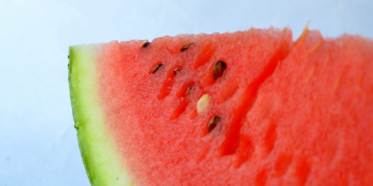 O que está por trás do canal melancia_OMDN_O Mundo dos Negócios_PDPics por Pixabay