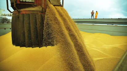 Zerar o imposto de importação para arroz, milho e soja é a nova meta do Governo