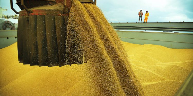 Zerar o imposto de importação para arroz, milho e soja é a nova meta do Governo