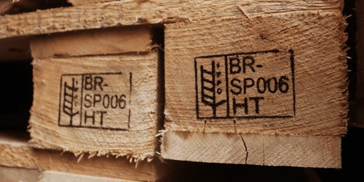 Fumigação: entenda o processo que é fundamental para o controle de pragas